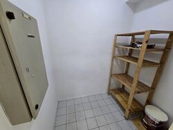 The Tanamera (D16), Condominium #588867901